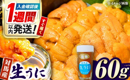 【1週間以内発送】対馬産 生うに 60g《対馬市》【保家商事】 ウニ うに 冷凍 生ウニ 雲丹 対馬 ムラサキウニ 紫ウニ 紫うに 長崎 九州 つしま 対馬市 海鮮 魚介 [WAA012] スピード発