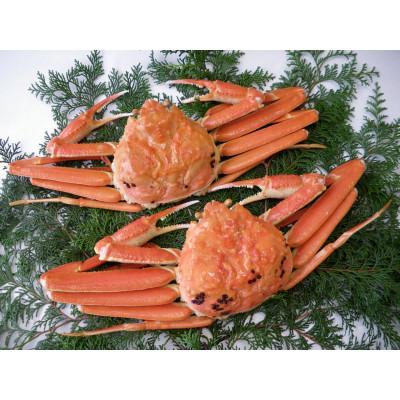 ふるさと納税 若桜町 【先行予約】鳥取県産　訳あり浜茹で松葉がに　2〜3枚で1.2kg以上(1〜4本足落ち)