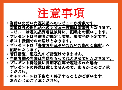◆レビューキャンペーン対象品◆【阿蘇牧場】熊本と畜 小国育ち 小国馬 地元産 馬刺し 阿蘇 熊本 小国 国産 阿蘇の大地 放牧馬 赤身 サガリ フタエゴ 各100g 小分け 馬肉 300g 馬刺し醤油