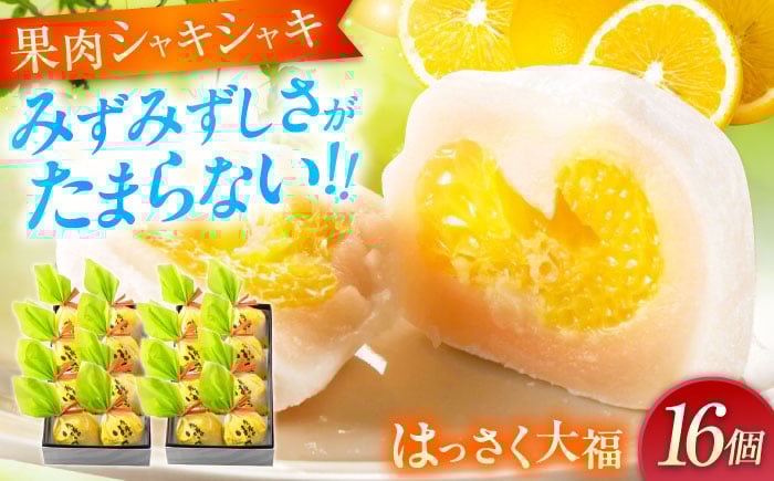 
            お菓子 はっさく大福8個入×2　 お菓子 大福 八朔 柑橘 みかん オレンジ 餅 ギフト お取り寄せ スイーツ フルーツ大福 ご当地 菓子 おかし デザート 食品 人気 おすすめ 広島県福山市/株式会社虎屋本舗 [BADH025]
          
