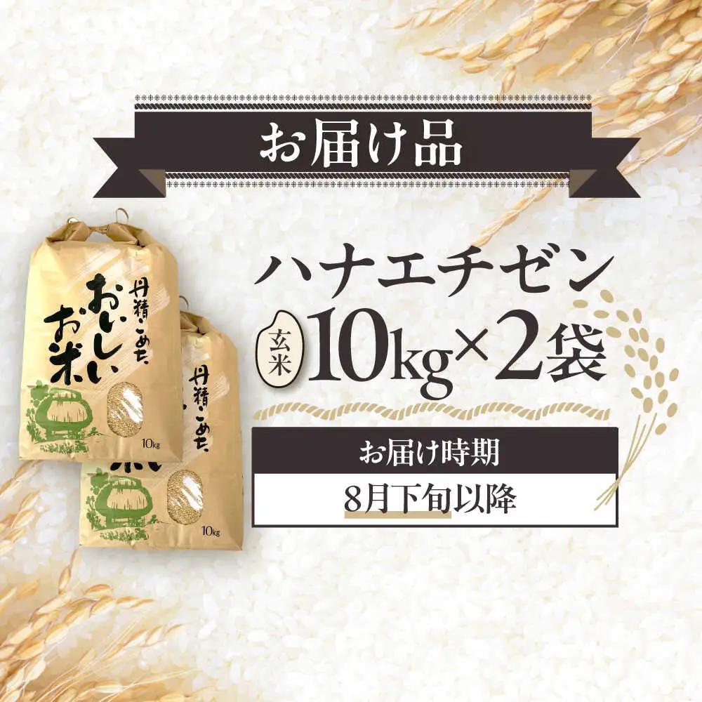 【令和8年産 新米】 【先行予約 /8月下旬より順次発送 】 ハナエチゼン 玄米 10kg×2 （20kg） / 米 お米 健康 小浜市 / 北川博司 [BFDG005]