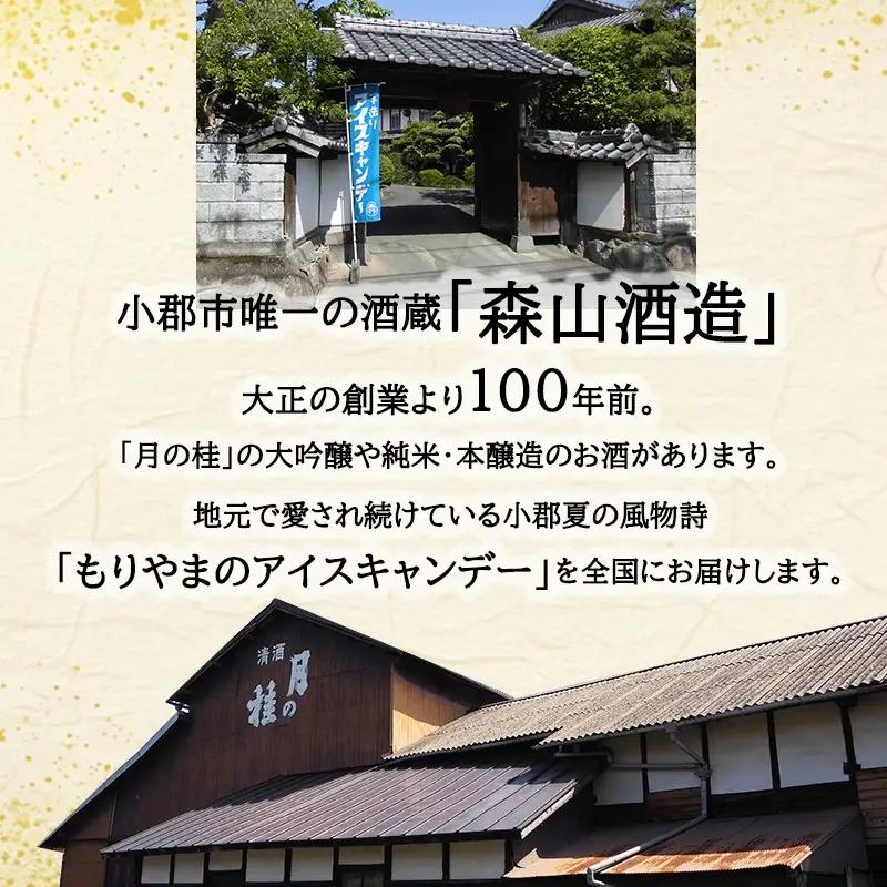 アイス もりやまのアイスキャンディー 40本入 セット 無添加 小郡 夏の風物詩 アイスキャンディー 4種 ミルク あずき チョコ 抹茶 デザート お楽しみ 