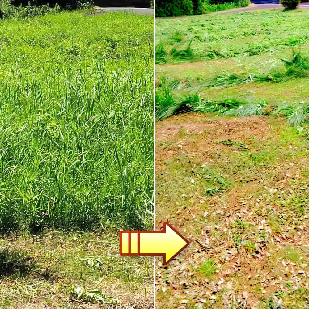 草刈り・墓地清掃・遺品整理等の代行チケット30，000円分《壱岐市》【便利屋とこしえ】[JGX003]