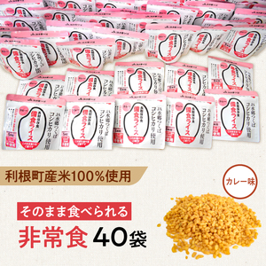利根町産米100％使用　水不要！そのまま食べられる【非常食・備食ライス】カレー味（40袋）