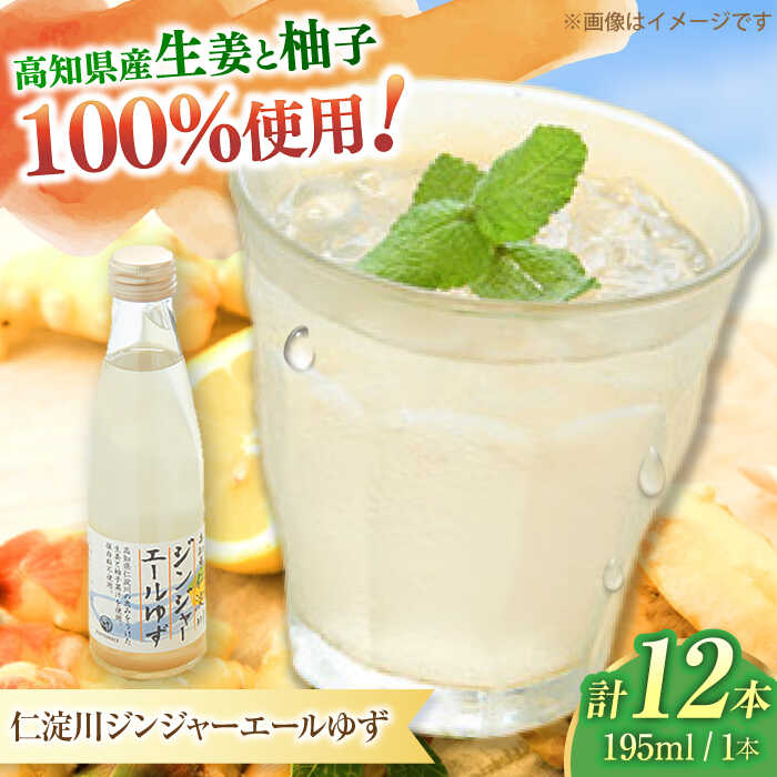 【ふるさと納税】仁淀川ジンジャーエールゆず12本/ 土佐生姜 スパークリング ジンジャーエール 爽やか【はるのTERRACE】[ATAV006]