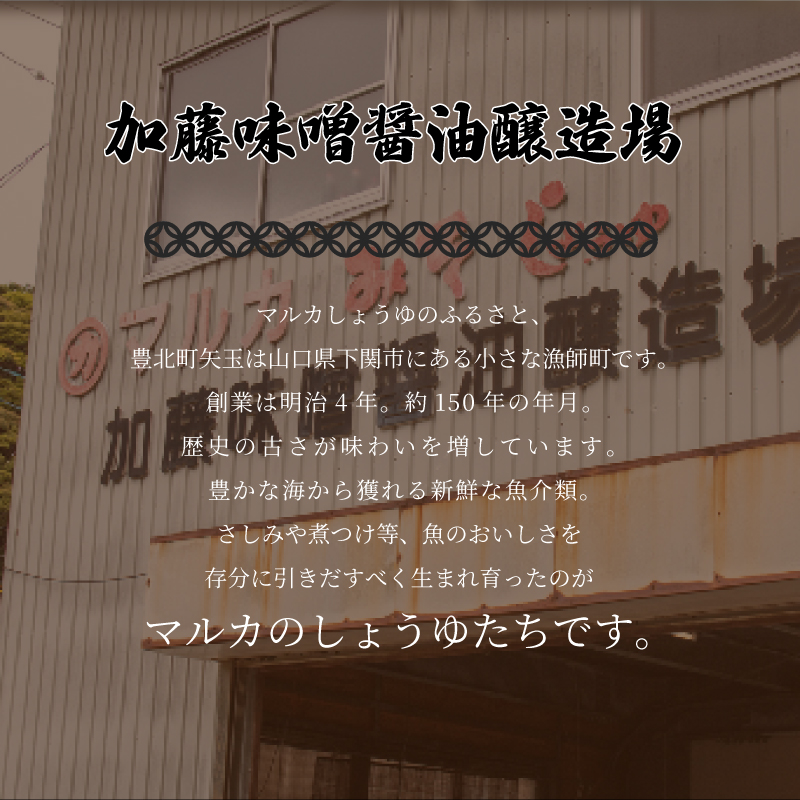 濃口醤油 1L×4本セット 計4リットル マルカ醤油 松
