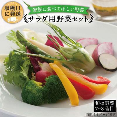 ふるさと納税 糸島市 朝採れ!【 栽培 期間中、 農薬・化学肥料不使用 】 サラダ用 糸島 野菜セット [AGE002]