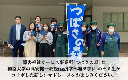 つばさの森 手作り 焼き菓子 詰合せ 10種 20袋入り｜ マドレーヌ マフィン 焼き菓子 福祉作業施設 手作り マドレーヌ マフィン 焼き菓子 草加市 マドレーヌ マフィン 焼き菓子 埼玉県 マドレ