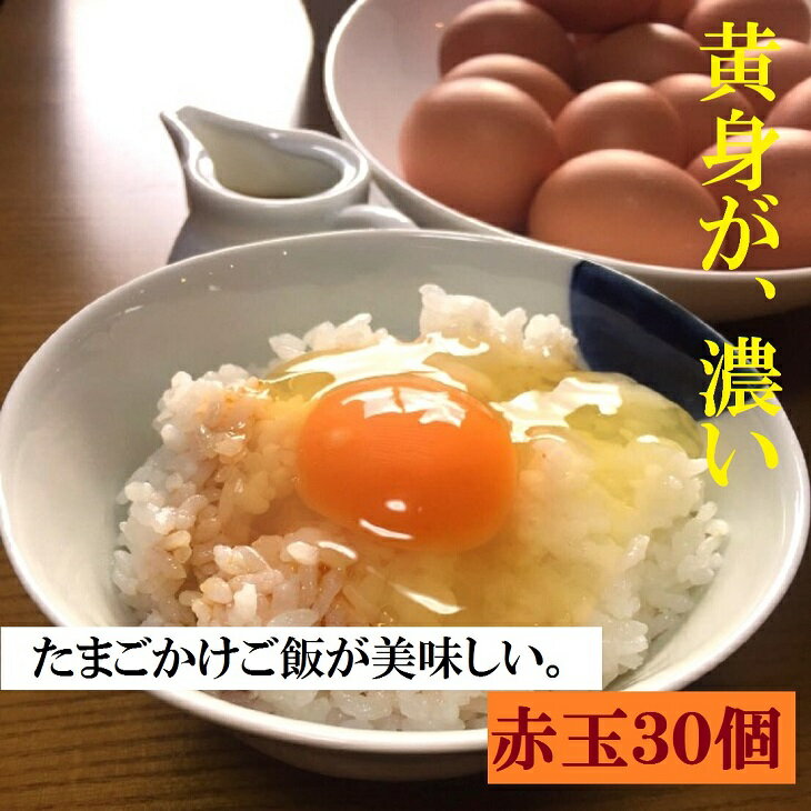 ふるさと納税 たまご 江原ファーム 体に優しい地養卵（30個）