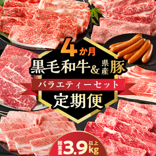 ≪4か月定期便≫黒毛和牛＆県産豚バラエティーセット(総重量3.9kg以上) 肉 牛 牛肉 おかず 国産_T030-181