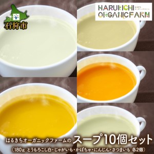 はるきちオーガニックファームのスープ10個セット