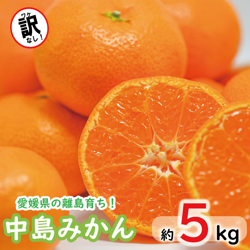 みかん 約 5kg 中島みかん ?丸＜11月中旬～発送＞ みかん ミカン mikan 柑橘 フルーツ 果物 愛媛県 松山市 送料無料