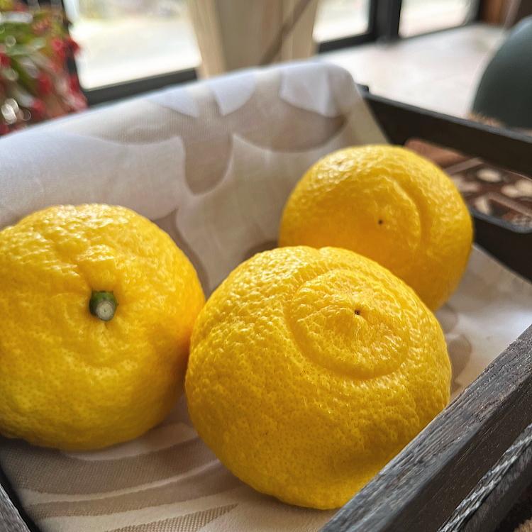 【ふるさと納税】特選 完熟 はるかみかん 約3kg［先行予約］［MS54］ | フルーツ 果物 くだもの 食品 人気 おすすめ 送料無料 農家直送