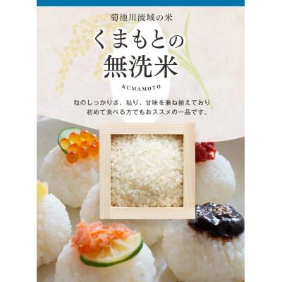 ふるさと納税 和水町 【令和7年産】熊本県産 くまさんの輝き 無洗米 5kg |  | 02