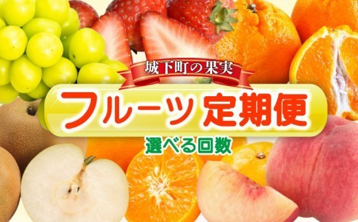 
                  フルーツ定期便 【城下町の果実】 【選べる回数】 フルーツ 定期便  定期配送 いちご 苺 桃 モモ シャインマスカット ぶどう みかん 蜜柑 柑橘 果実 果物 フルーツ 旬のフルーツ フルーツギフト フルーツ定期 フルーツ定期便 果物定期 果物定期便 人気果物 人気フルーツ 香川県 丸亀市
                