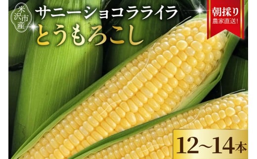 【先行予約】 令和8年産 とうもろこし 12本 ～ 14本サニーショコラ ライラ 2026年7月中旬～8月中旬頃お届け予定