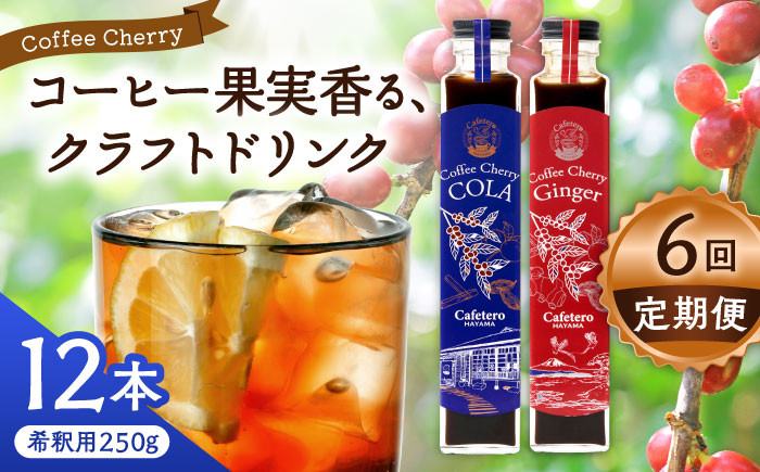 
            【全6回定期便】カフェテーロ葉山　コーヒーチェリーコーラ 6本 コーヒーチェリージンジャー 6本/ コーラ エナジードリンク 酸味 コーヒー  神奈川県 葉山町 クラフトコーラ 天然 ドリンク 炭酸【合同会社エンディレクト】 [ASBM020]
          