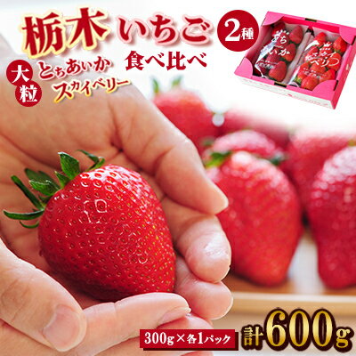 【ふるさと納税】豪華!栃木イチゴ2種(スカイベリー・とちあいか)大粒 食べ比べセット(300g×2パック)_ いちご 苺 果物 フルーツ くだもの スカイベリー とちあいか 大粒 食べ比べ セット 人気 おすすめ 送料無料 贈答 ギフト 【配送不可地域：離島・沖縄県】【1366974】