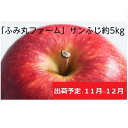 【ふるさと納税】11月～12月発送 ふみ丸ファーム 最高等級「特選」 サンふじ 約5kg 【 弘前市産 青森りんご 】※オンライン決済のみ　果物類・林檎・りんご・リンゴ　お届け：2024年11月15日～2024年12月30日