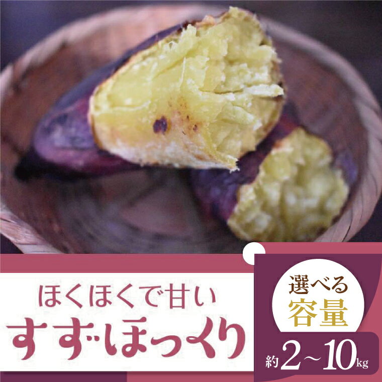 【ふるさと納税】2025年度産 ホクホクで甘いさつまいも すずほっくり 約2～10kg｜さつまいも 芋 お芋 すずほっくり 渋谷農園 茨城県 行方市(BZ-13)