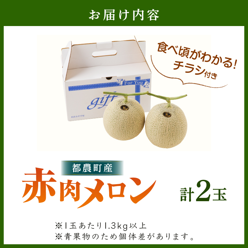 先行予約≪期間限定≫都農町産「赤肉メロン」計2玉_T015-006-F【都農町新着 フルーツ 果物 デザート 国産 人気 ギフト 食品 旬 くだもの 果実 贈り物 お土産 送料無料 プレゼント】