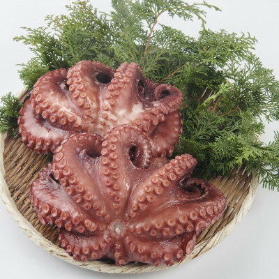 【ふるさと納税】 たこ 蛸 茹でだこ 冷凍 600g 海鮮 酒 さけ つまみ たこ焼き タコパ 無添加 自家製 おすすめ 人気 愛知県 南知多町【配送不可地域：北海道・沖縄県・離島】