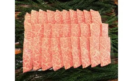 飛騨市推奨特産品 飛騨牛 5等級 カルビ 焼肉用 500g [AW016]
