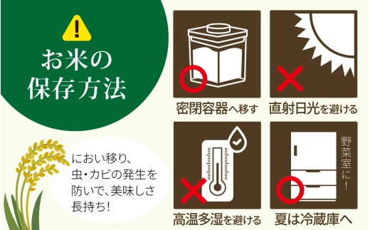 【先行予約】【発送月が選べる】若緑産 特別栽培米「ミルキークィーン」【2026年11月発送】