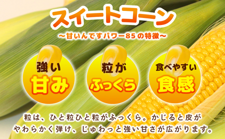 【先行予約】とうもろこし(甘いんですパワー85) 約2.5kg（7～8本）