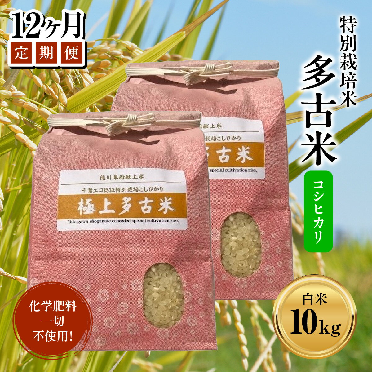 【ふるさと納税】【定期便】化学肥料一切不使用！特別栽培米多古米「コシヒカリ」白米10kgx12回 TAKJ007 / 千葉県産 多古町 多古米 コシヒカリ 米 精米 こめ 送料無料