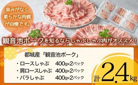 「観音池ポーク」しゃぶしゃぶ2.4kg定期便(10ヶ月)_T120（10）-7201