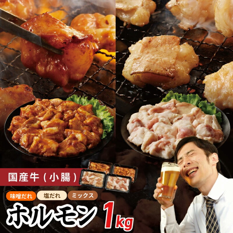 【ふるさと納税】【発送月が選べる】 国産 牛肉 ホルモン 1kg 味噌だれ / 塩だれ / MIX 焼肉用 小分け ご飯のお供 バイキング左近 小腸 総重量1キロ 冷凍 焼くだけ 味付き肉 お取り寄せグルメ 大阪府 泉佐野市 送料無料 肉の泉佐野