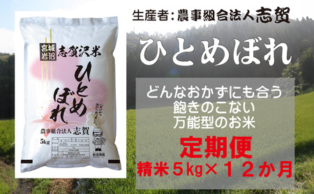 【12ヶ月定期便】宮城県岩沼市産 志賀沢米 ひとめぼれ 精米5kg