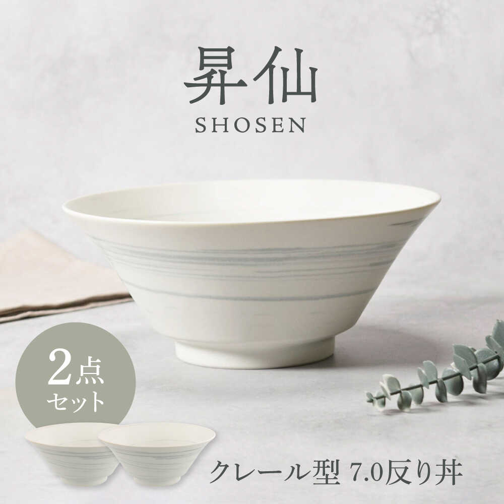【ふるさと納税】【美濃焼】昇仙 しょうせん クレール型 7.0反り丼 2点セット【カネ定製陶】[MEI230]