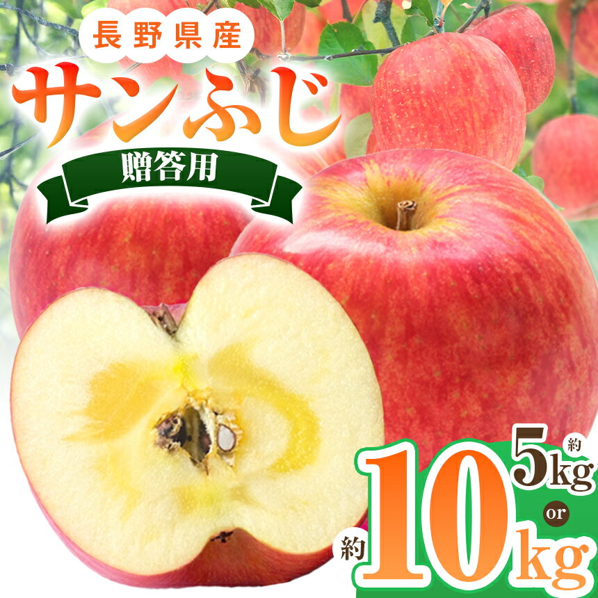 【ふるさと納税】 *【2025年先行予約】贈答用 サンふじ 5kg ・ 10kg ｜ 北條農園 リンゴ りんご 林檎 果物 フルーツ 果実 果汁 サンふじ サンフジ 贈答用 長野県 松川村 信州