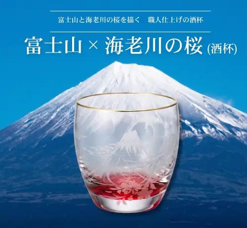 富士山　海老川の桜（赤）