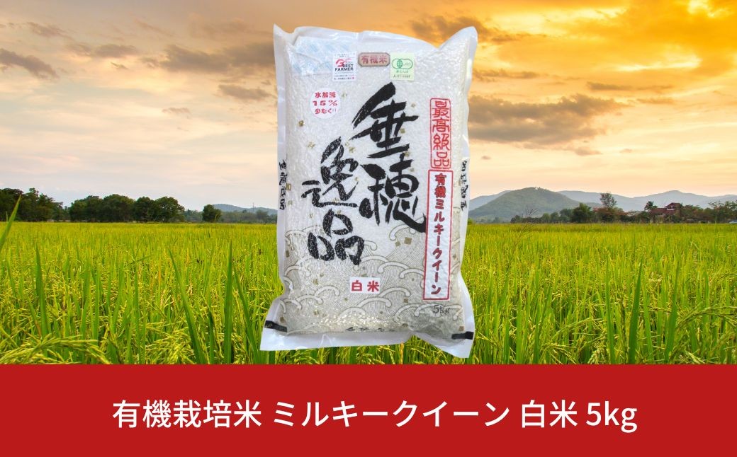 
            有機栽培米 ミルキークイーン 白米 5kg 新潟県産 三条市産 米 令和7年産 [佐藤農産有機センター] 【011S060】
          