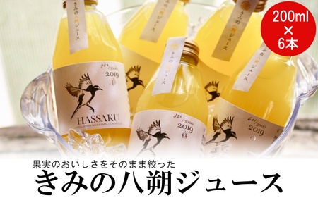 果汁 ジュース 八朔ジュース オレンジジュース  ドリンク セット 有機 無添加 100% / きみの八朔ジュース 180mL×6本【kmf006】