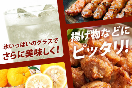 【6回定期便】木頭ゆずチューハイ 350ml×24本入り 計144本【徳島 那賀 木頭ゆず 木頭柚子 ゆず 柚子 かんきつ 柑橘 お酒 酒 3% サワー チューハイ 缶酎ハイ 柚子チューハイ 缶チュー