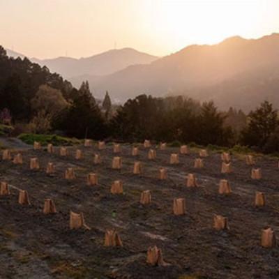 ふるさと納税 佐那河内村 《ソープバー&全身用化粧水:各1個》「山神果樹薬草園」　柚子のウォッシュ&ケアセット　A　 |  | 01