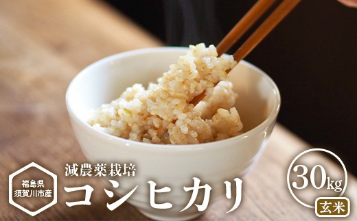 【減農薬栽培】福島県須賀川市産 コシヒカリ玄米 30kg コシヒカリ 米 お米 玄米 ブランド米 銘柄米 備蓄 日本米 こしひかり コメ ごはん ご飯 食品 須賀川 福島 F7X-0860