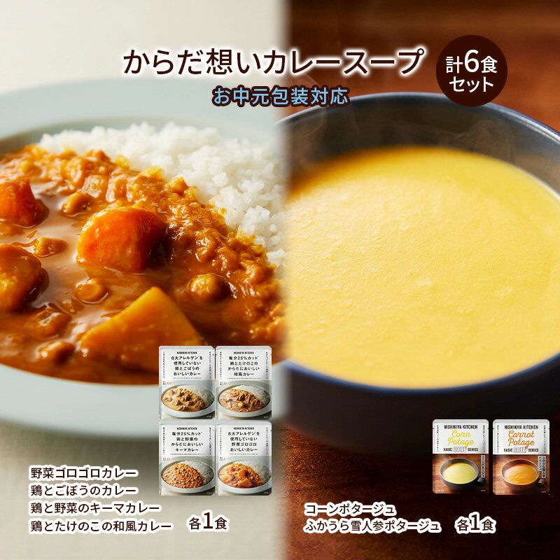 【ふるさと納税】【お中元】NISHIKIYA KITCHEN からだ想いカレースープ6食セット インスタント 詰め合わせ レンジ 調理 レトルト食品 スープ 惣菜 保存食 災害 防災 備蓄 長期保存 常温 常温保存　お届け：2025年8月1日～2025年8月8日
