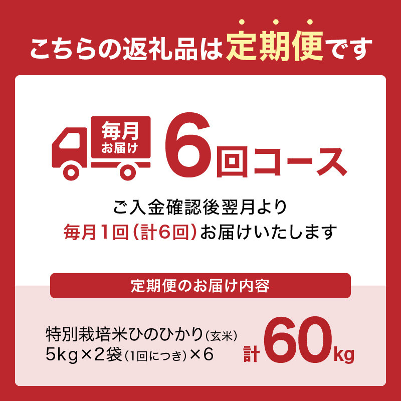 【定期便6か月】<特別栽培米>京都府木津川市産ひのひかり 玄米60kg(10kg×6回） 毎日の健康に