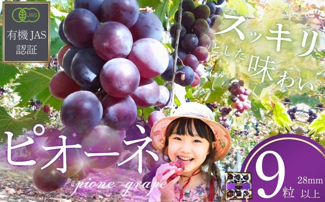 
                  ぶどう 【先行予約】 ぶどうの粒 9粒（直径28mm以上）[2026年産] 【ぶどう ブドウ 葡萄 ピオーネ ぴおーね ぶどうの粒 粒 果物 くだもの クダモノ フルーツ 果実 農薬不使用 化学肥料不使用 有機JAS認証 無選別 おやつ デザート 返礼品】 
                