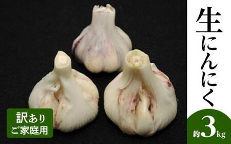 訳あり ご家庭用 生にんにく 約3kg【2026-5月上旬～2026-6月上旬配送】| にんにく