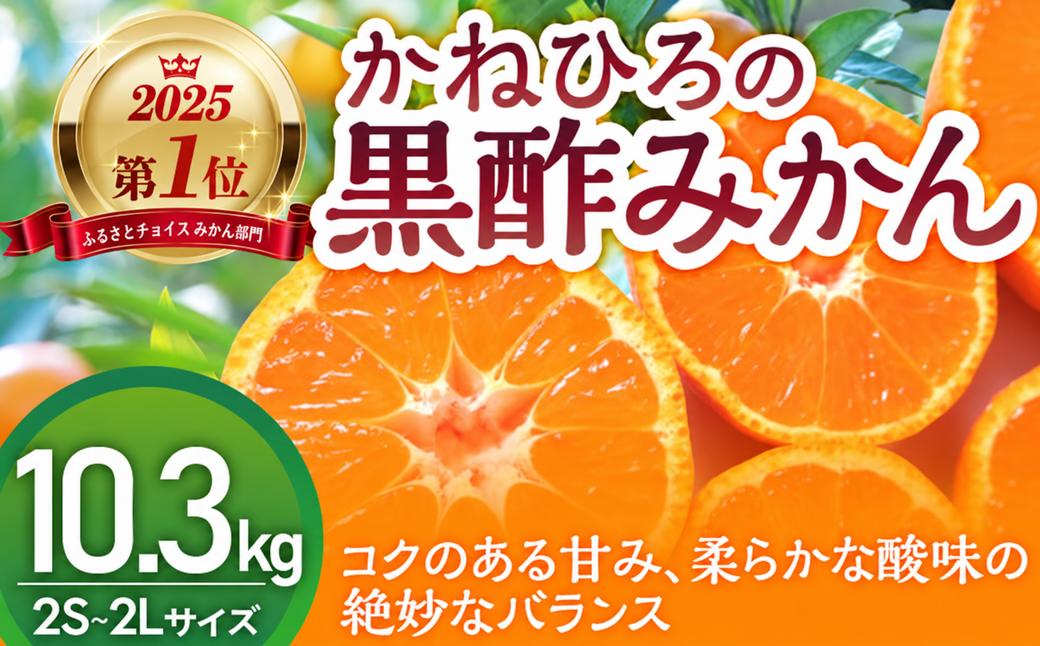
                  かねひろの黒酢みかん 10.3kg 2S～2L 【7営業日以内発送】【2026年10月下旬から2027年1月下旬まで発送予定】 新鮮 黒酢 アミノ酸 みかん 蜜柑 ミカン 温州みかん 10kg 甘い 柑橘 果実 フルーツ オレンジ 人気 おすすめ 贈答 ギフト 正月 実家 産地 九州 佐賀県 太良町 N77x1
                