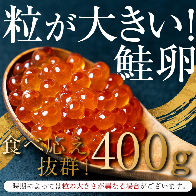 【先行予約】北海道産 鮭 いくら 小分け 400g（100g×4）10月中旬以降順次発送 ＜海鮮問屋　株式会社　瑞宝＞ いくら醤油漬け いくら イクラ しょうゆ漬け 海産物 加工品 森町 ふるさと納税