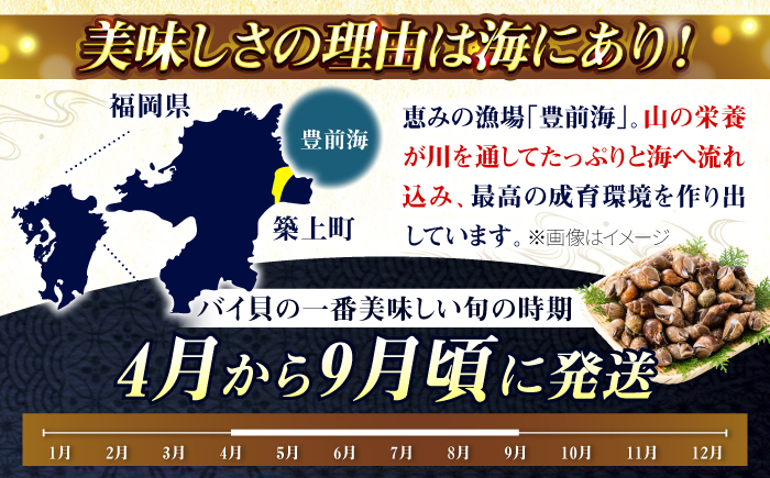 【先行予約】【2026年4月以降順次発送】豊前海産 バイ貝 1kg   (20～35個前後) 《築上町》【明青丸】 バイガイ 貝 カイ [ABCB004] 15000円 1万5千円