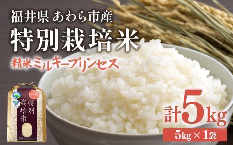 
            【令和7年産】化学肥料不使用 特別栽培米 ミルキープリンセス 精米 5kg / 白米 米 福井県あわら市産 美味しい 特別栽培米 減農薬 安心な米 旨味 甘み もっちり 冷蔵保管米 [aw010-a023]
          
