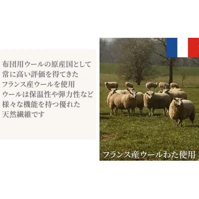 ふるさと納税 和歌山市 セミダブルサイズのウォッシャブル ウールわたベッドパッド1枚 WB-12 |  | 02